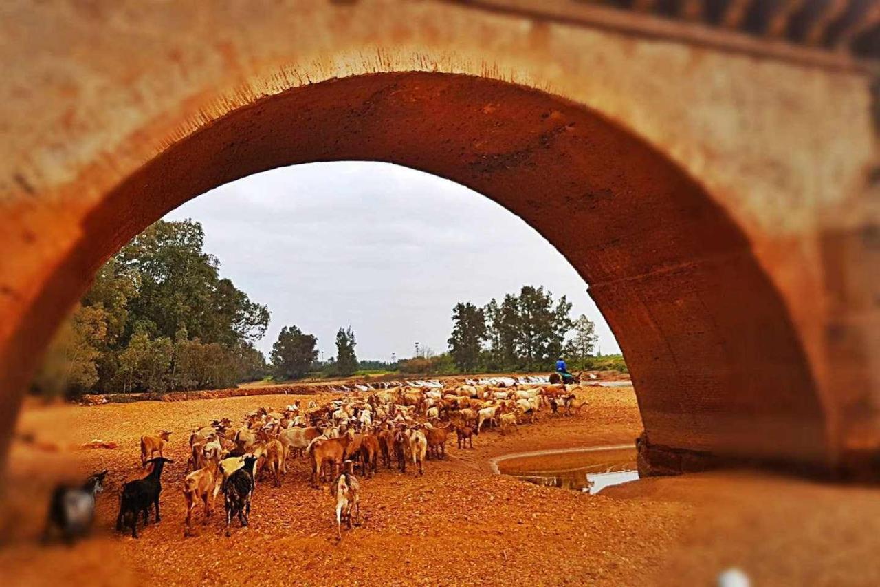 Casa Rural Finca Real De Niebla 게스트하우스 외부 사진