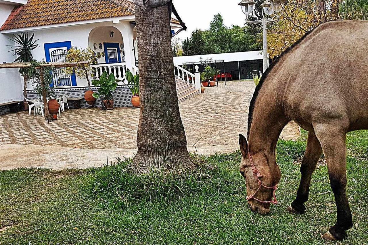 Casa Rural Finca Real De Niebla 게스트하우스 외부 사진