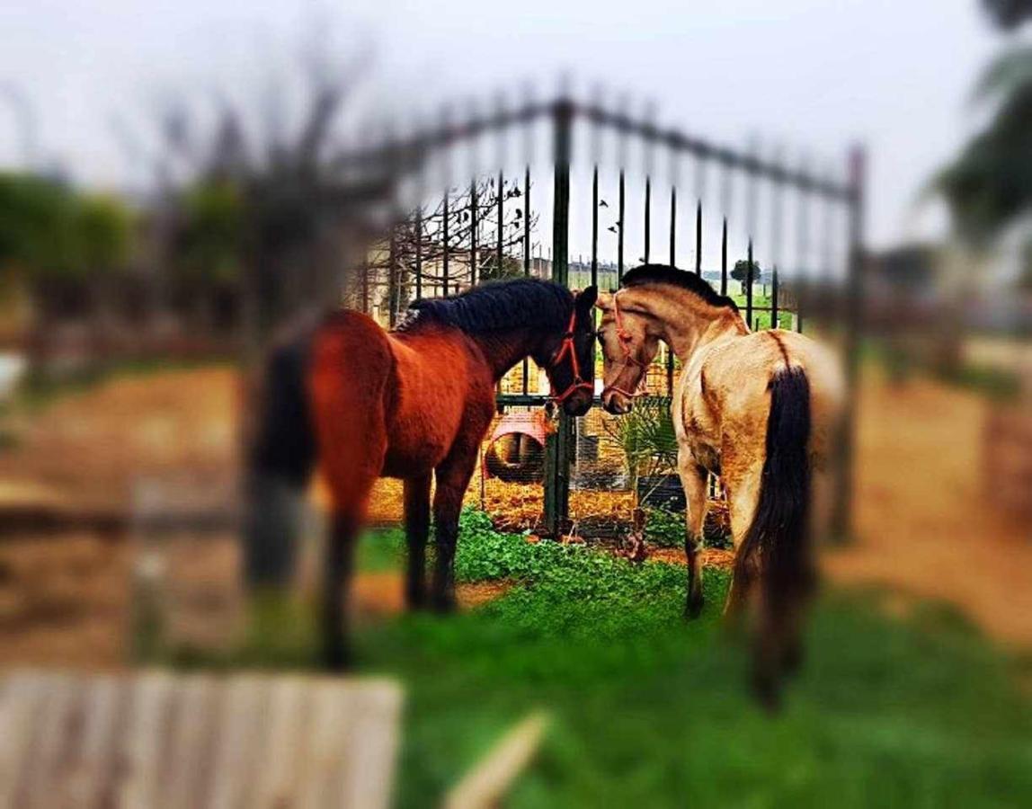 Casa Rural Finca Real De Niebla 외부 사진