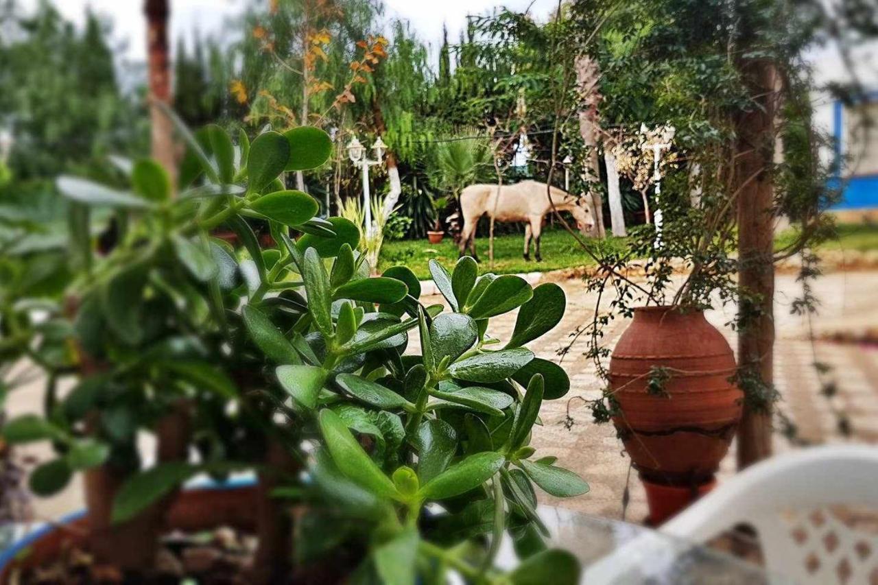 Casa Rural Finca Real De Niebla 외부 사진